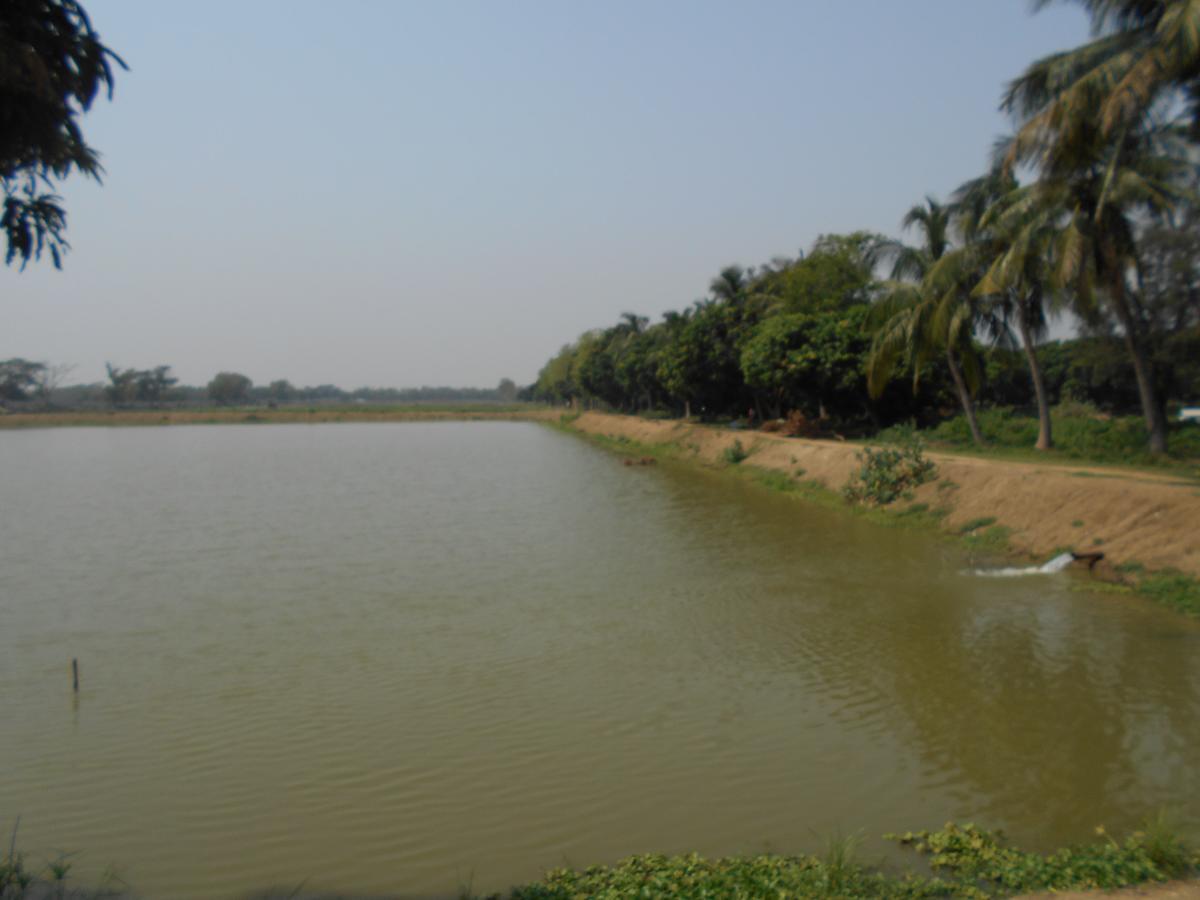 Jamunadighi Eco-Resort Budbud Bagian luar foto